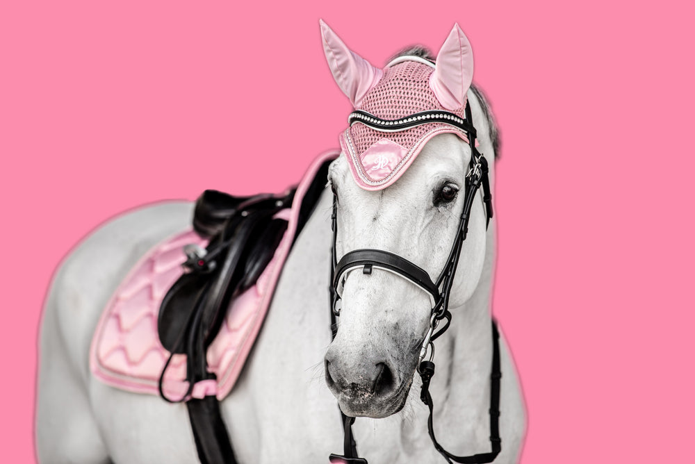 Joel Equestrian Dubai