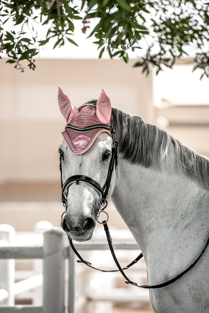 Joel Equestrian Dubai